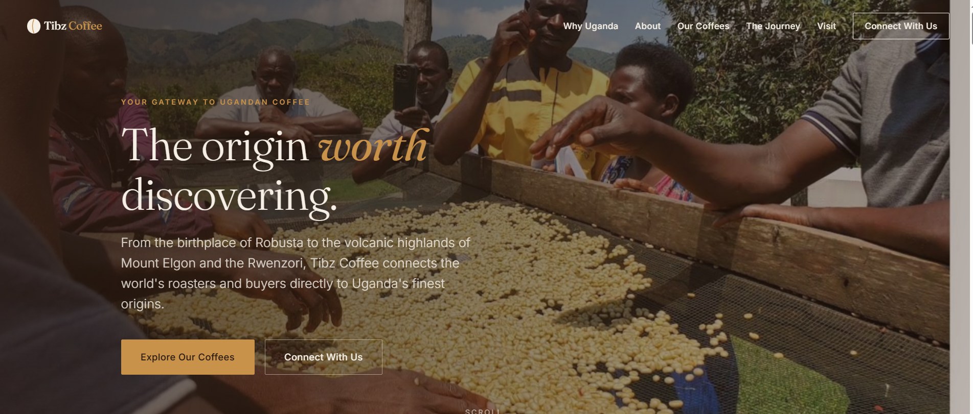 Tibz Coffee website